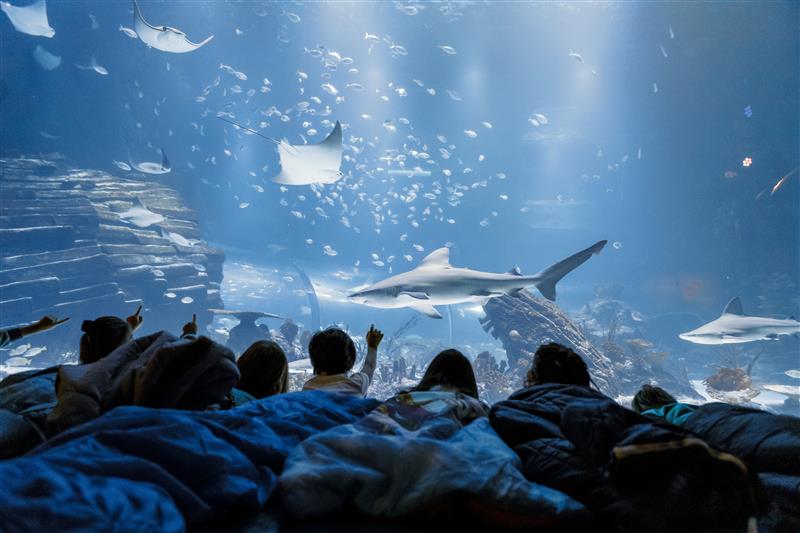 Atlantis Aquarium Madrid