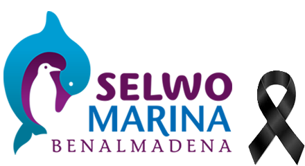 Selwo Marina